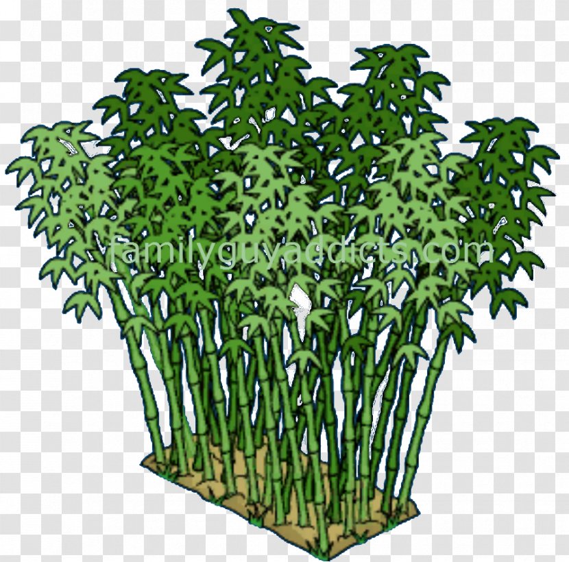 Flowerpot Tree Shrub Plant Stem Transparent PNG