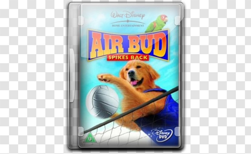 Dog Crossbreeds Carnivoran Vertebrate - Robert Vince - Air Bud V4 Transparent PNG