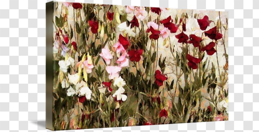 Floral Design Gallery Wrap Cut Flowers Tulip - Printmaking - Sweet Pea Transparent PNG