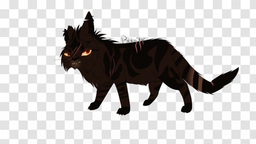 Into The Wild Brokenstar Black Cat Fire And Ice - Warriors Transparent PNG