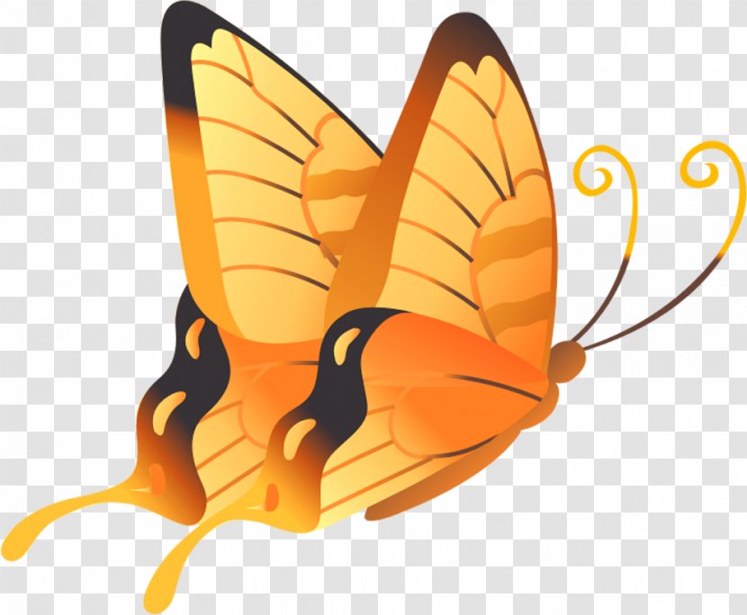 Butterfly Orange Yellow - Moths And Butterflies Transparent PNG