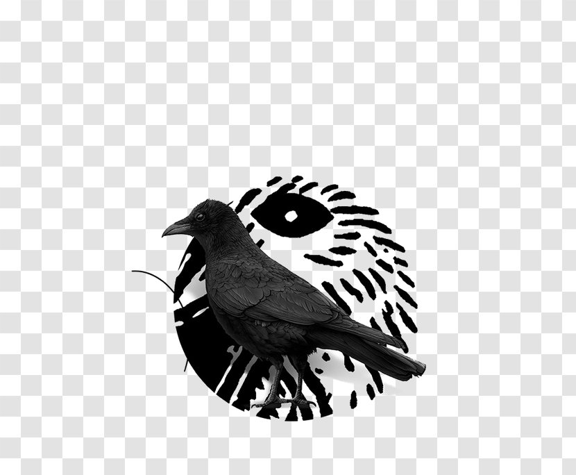 Crows - Visual Design Elements And Principles - Creative Black Crow Transparent PNG
