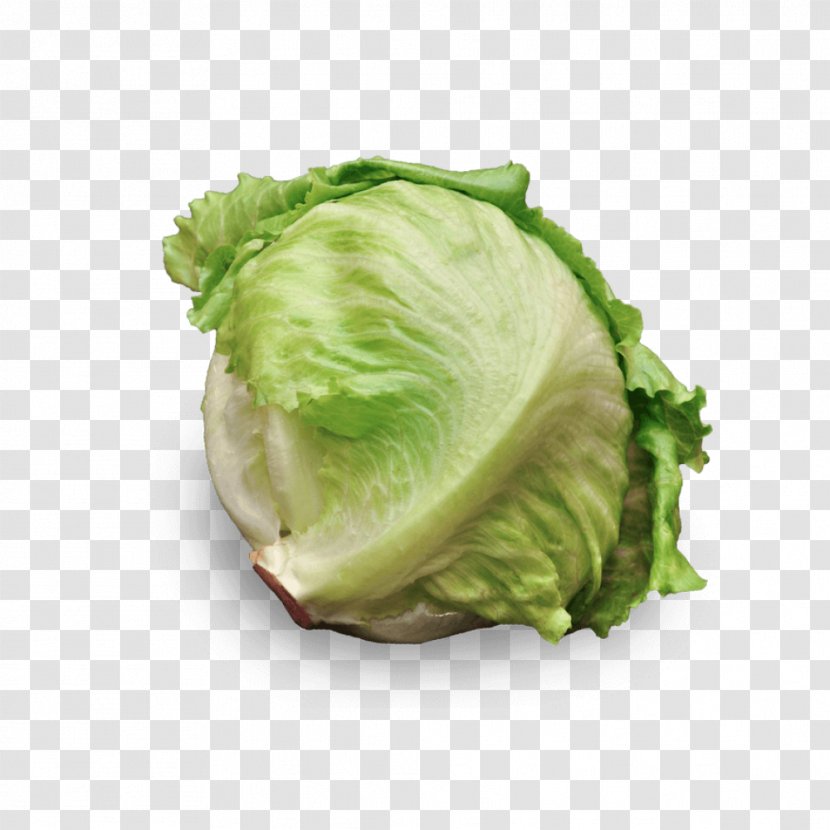 Romaine Lettuce Iceberg Cruciferous Vegetables Salad Recipe Transparent PNG