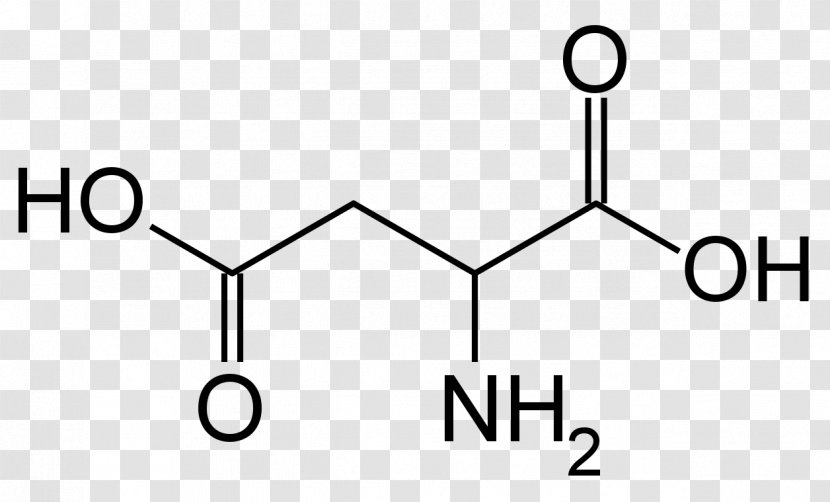 N-Methyl-D-aspartic Acid Succinic Amino - Material - Sparta Transparent PNG