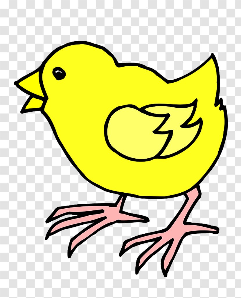 Chicken Clip Art - Yellow - Pinto Transparent PNG