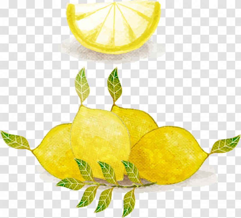 Lemonade Watercolor Painting - Yellow - Lemon Vector Transparent PNG