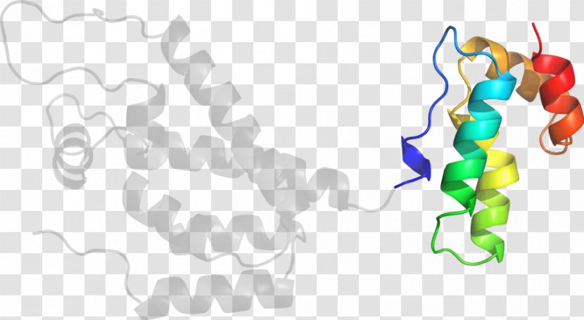 Product Design Clip Art Organism Line - Area - P24 Capsid Protein Transparent PNG