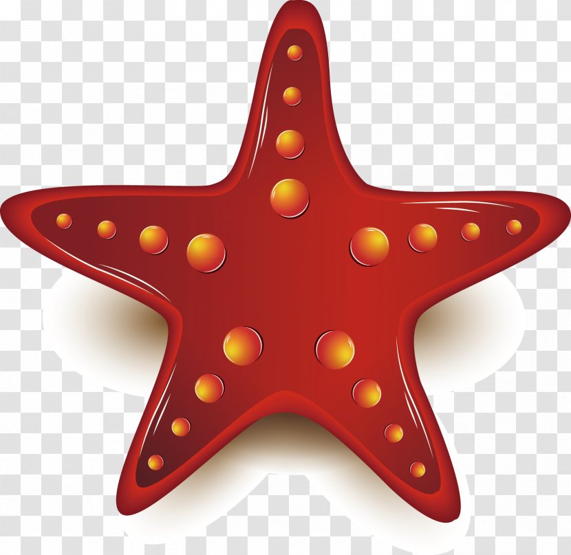Starfish Chemical Element - Invertebrate - Chinese New Year Festive Transparent PNG