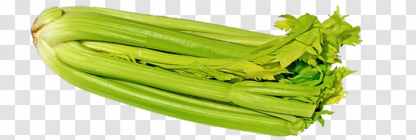 Vegetable Celery Plant Food Leaf - Choy Sum Transparent PNG