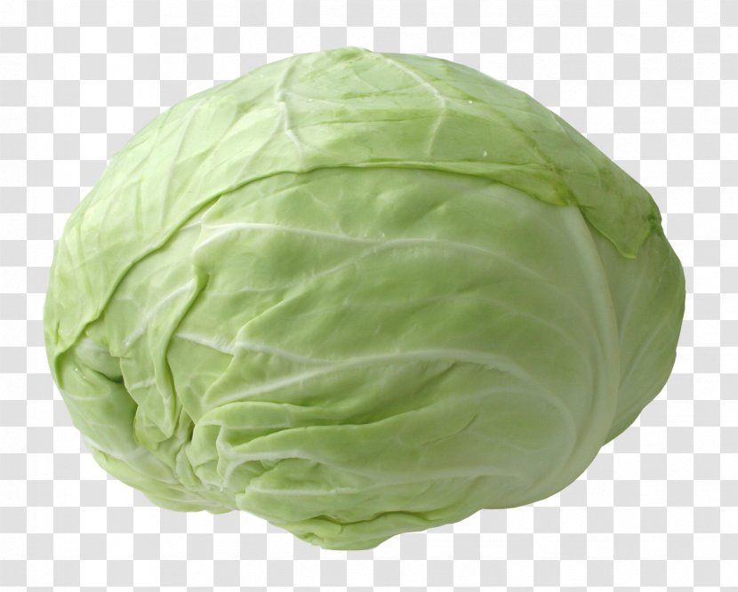 Cabbage Vegetable Kale - Red - Picture Transparent PNG