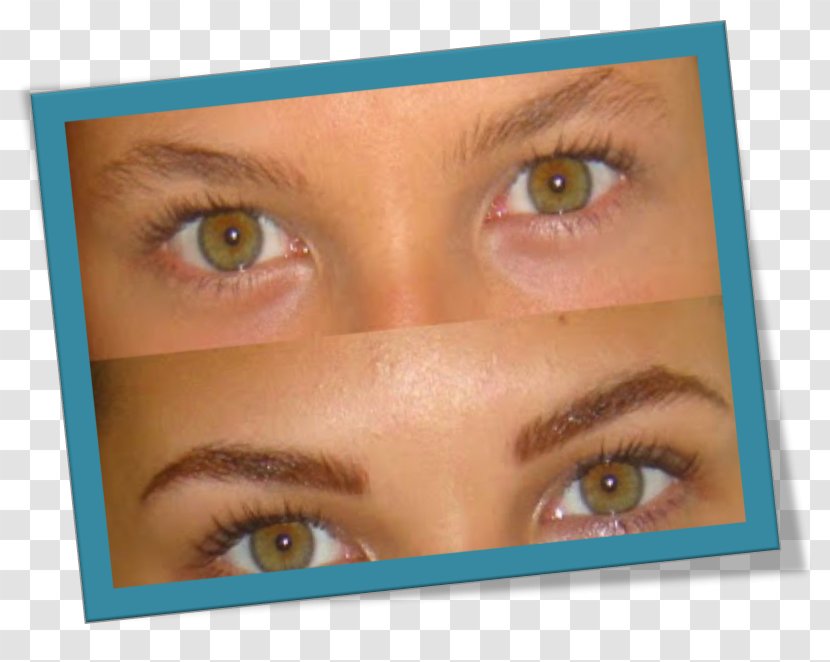 Consultorios Dermatològicos Dra. Squaglia Eyebrow Permanent Makeup Make-up - Contact Lens - Eye Transparent PNG