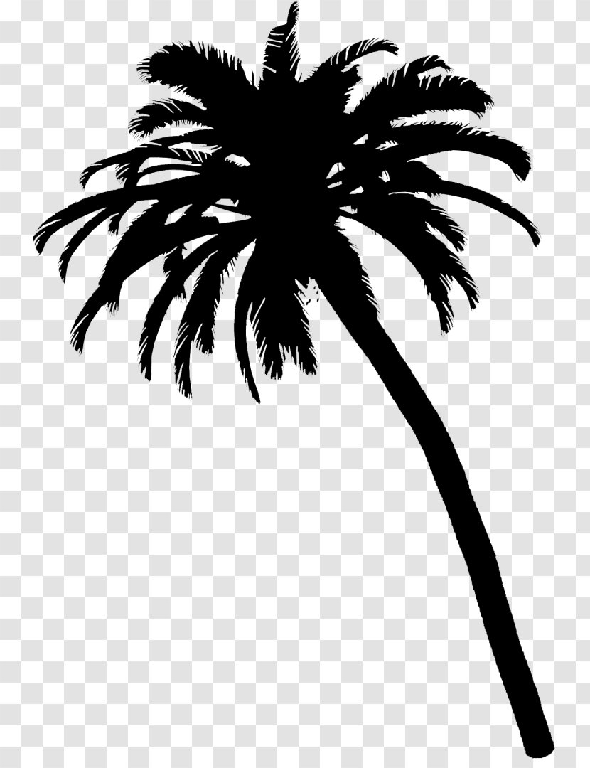 Black & White - Attalea Speciosa - M Palm Trees Date Leaf Flower Transparent PNG