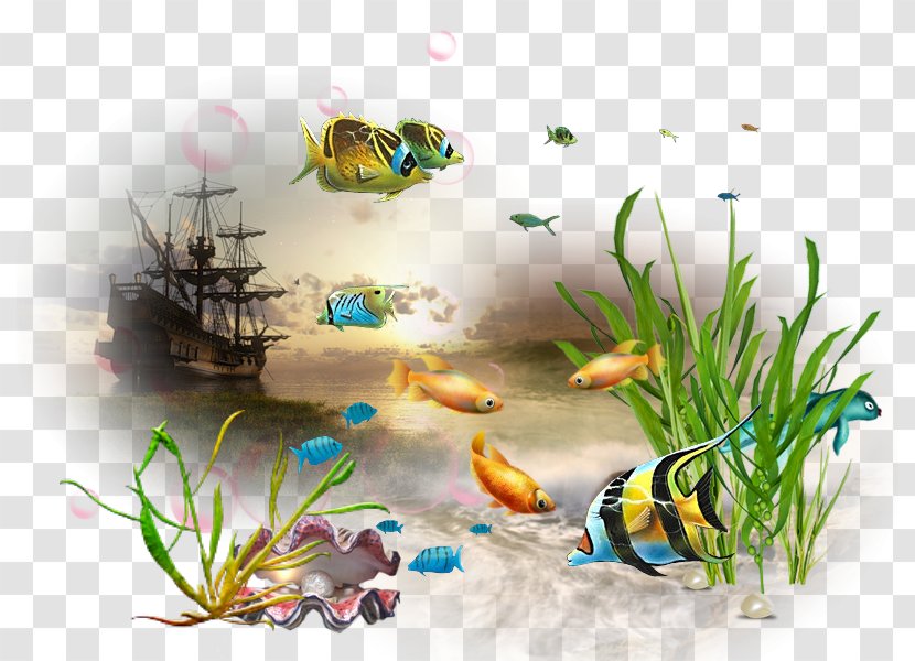 Fish Aquarium Marine Biology Animal - Decor Transparent PNG