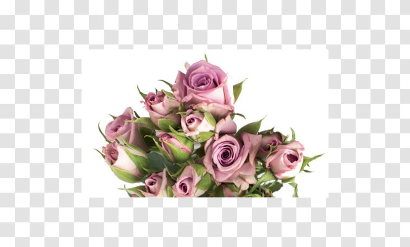 Garden Roses Cabbage Rose Floral Design Cut Flowers Flower Bouquet - Floristry Transparent PNG
