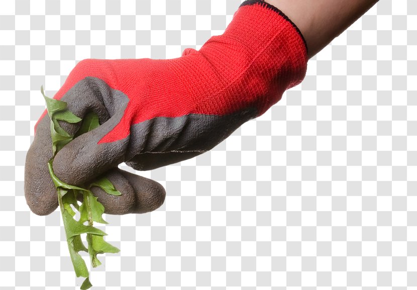 Weed Control Herbicide Lawn Small Business - Joint - Earth Hand Transparent PNG