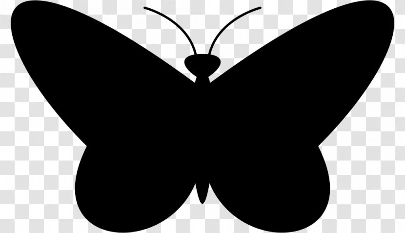 Butterfly Drawing Black And White Clip Art - Photography - Silhouette Creative Transparent PNG