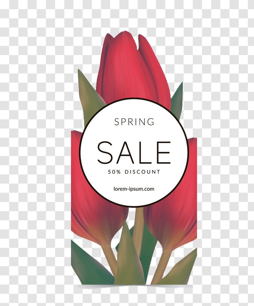 Tulip Illustration - Tulips Sales Transparent PNG