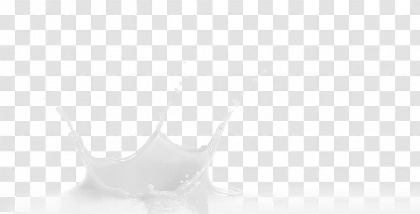 Monochrome Photography White - Liquid - Coating Transparent PNG