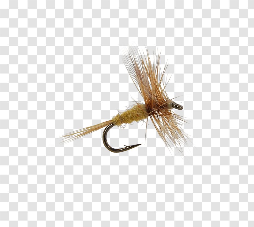 Insect Artificial Fly - Tying Transparent PNG