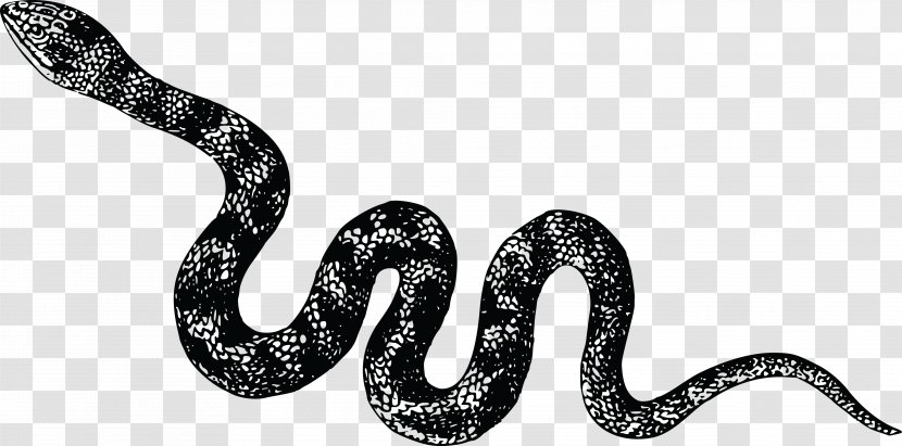Snake Vipers Cobra Clip Art - Snakes Transparent PNG