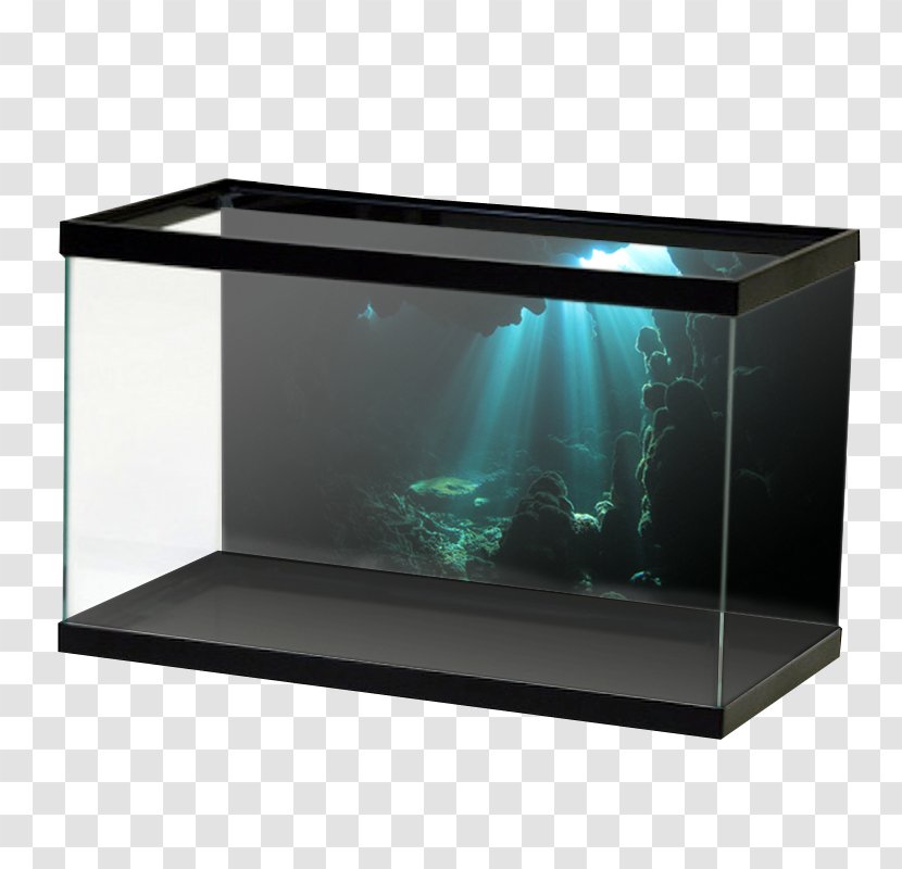 My Fish Tank Aquarium Koi Terrarium Pelvicachromis Pulcher - Reptile - Underwater Products Transparent PNG