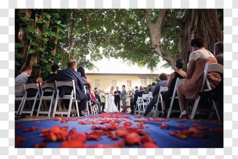 Photography Photographer Graphic Designer - Event - Ceremony With Transparent PNG