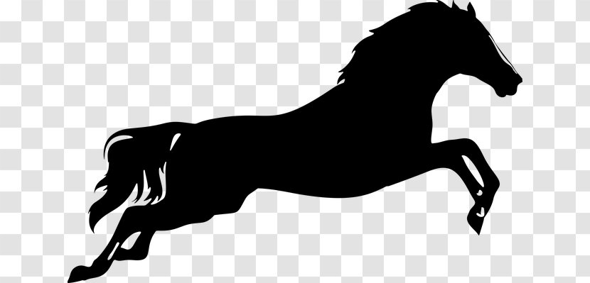 Horse Vector Graphics Clip Art Silhouette Jumping - Mane Transparent PNG