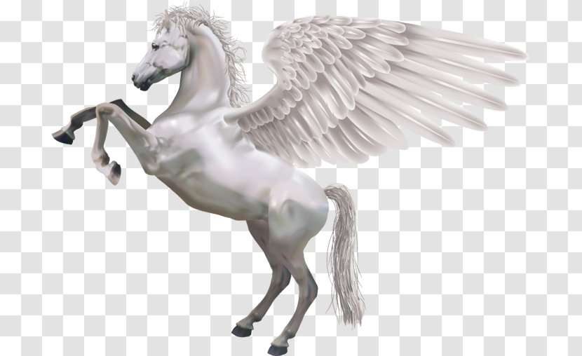 Horse Pegasus Royalty-free Illustration - White Transparent PNG