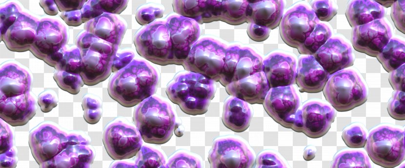 Bacteria Gut Flora Probiotic Microorganism Bifidobacterium - Cartoon - Purple Bacterial Balls Transparent PNG