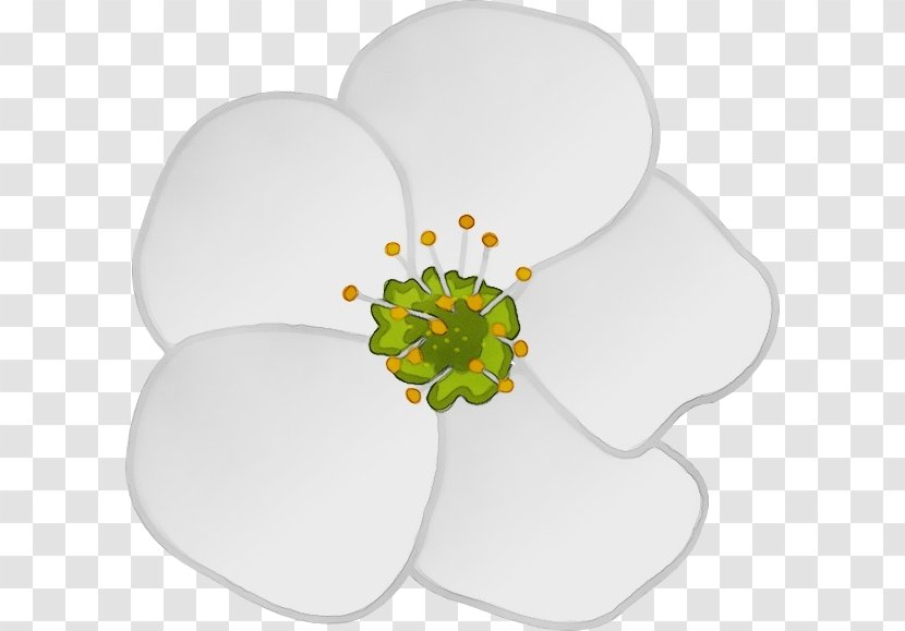Petal Plant Flower Symbol Transparent PNG