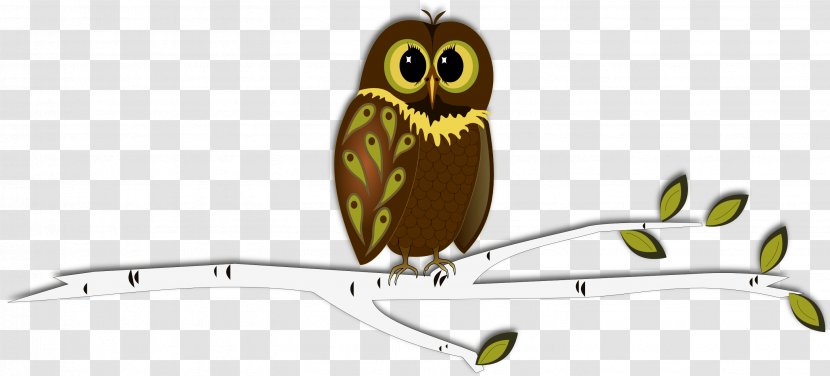 Baby Owls Drawing For Kids Clip Art - Owl Transparent PNG