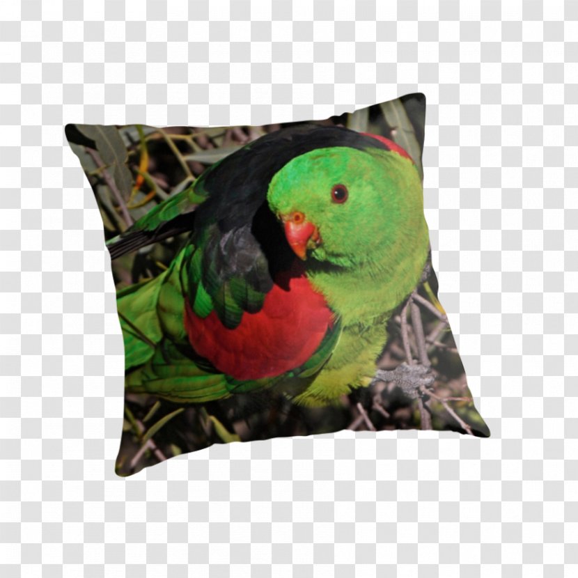 Macaw Throw Pillows Cushion Parakeet - Beak - Pillow Transparent PNG
