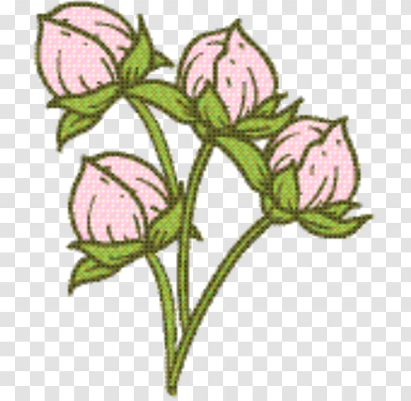 Rose Petal - Leaf - Bellflower Family Transparent PNG