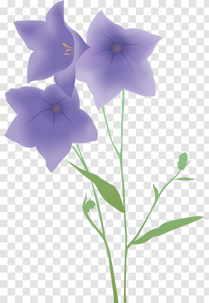 Cowbell Flower Clip Art - Plant Stem - Bell Transparent PNG