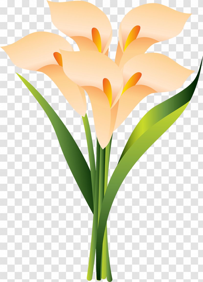 Floral Design Cut Flowers Plant Stem Flowerpot Clip Art - Yellow Transparent PNG
