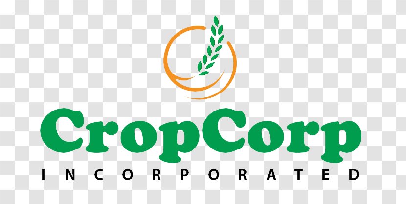Investment Joint Stock Company Hung Thinh Real Estate Corporation Thủ Đức District Land Hưng Thịnh - Text - RICE CROP Transparent PNG