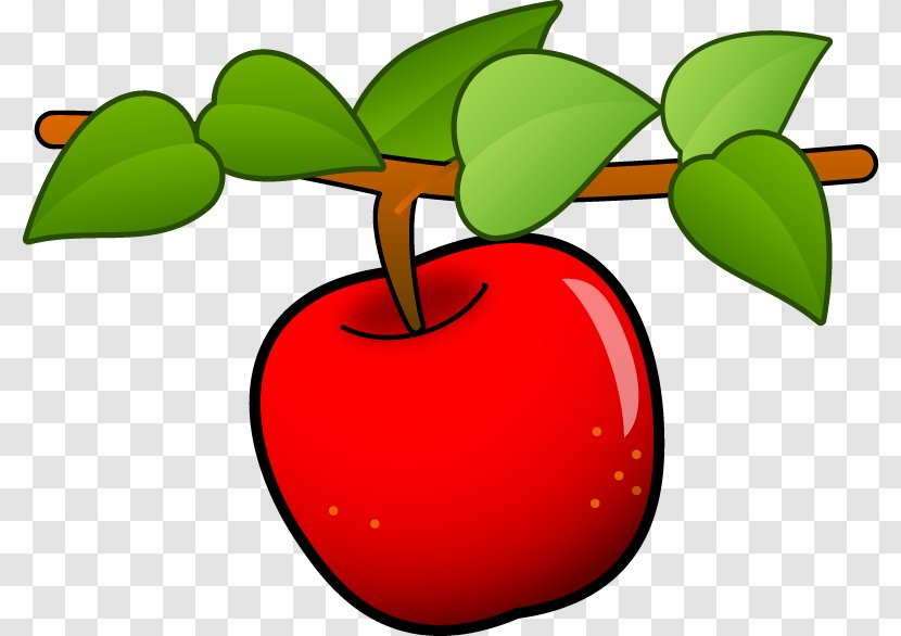 Apple Line Tree Leaf Clip Art Flowering Plant Fruit And