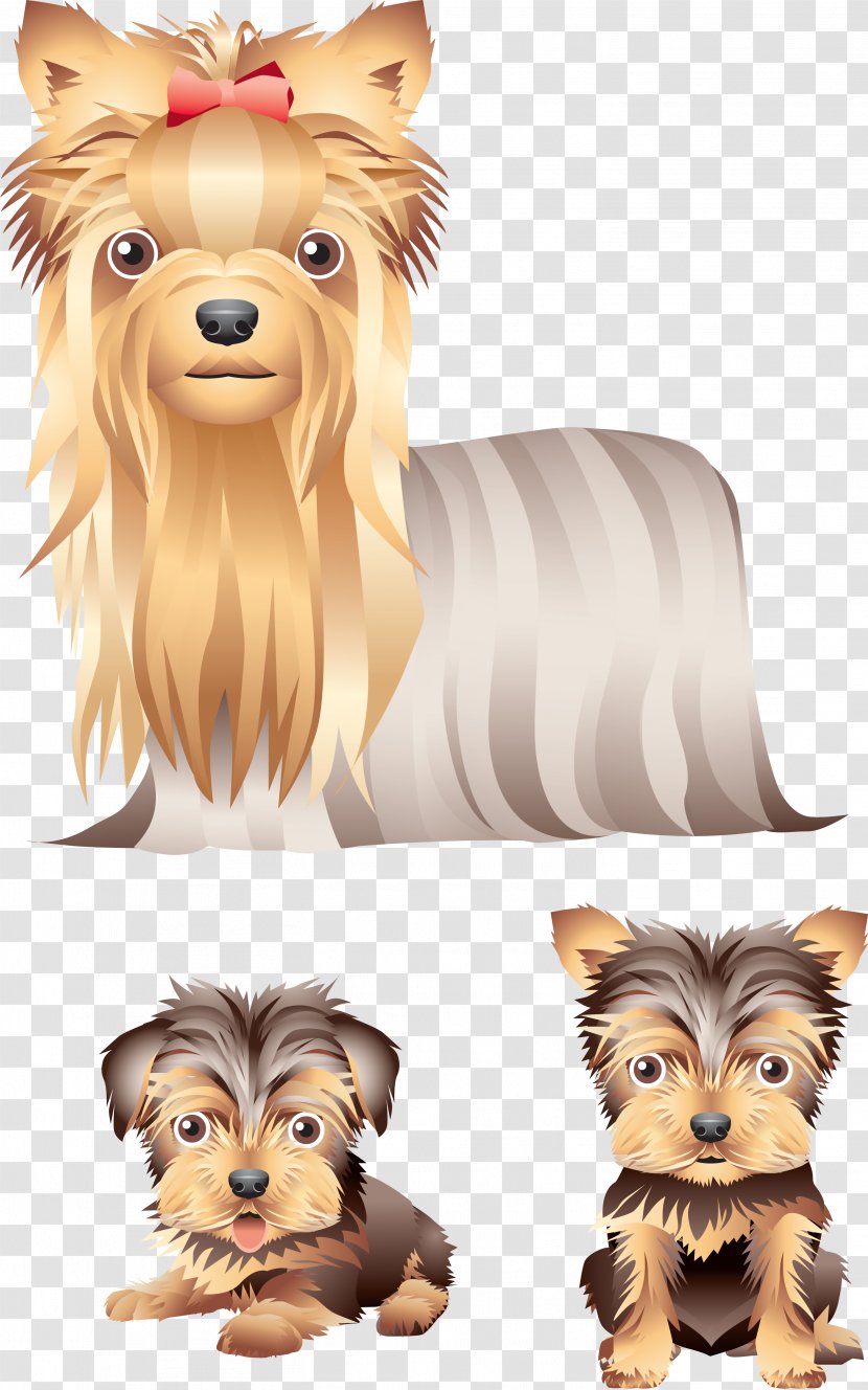 Yorkshire Terrier Australian Silky Norwich Puppy - Breed - Dog Cartoon Transparent PNG
