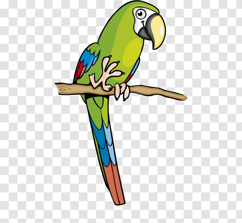 Amazon Parrot Macaw Parakeet Clip Art - Green - Cartoon Transparent PNG