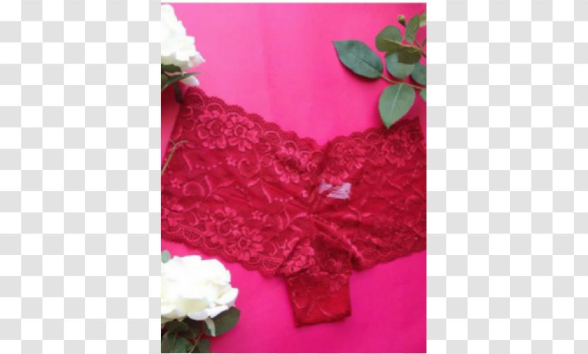 Lace Pink M Silk Wool - Petal - Calcinha Transparent PNG