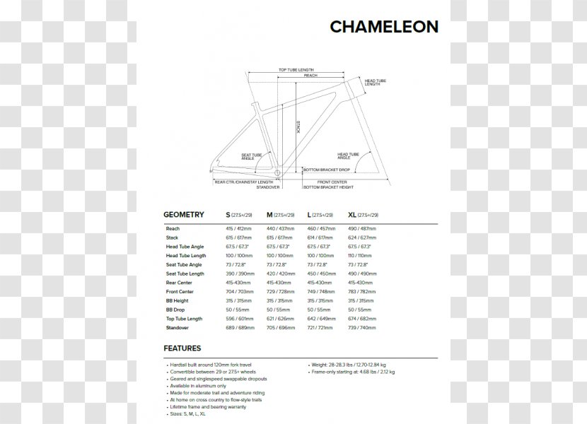 Line Angle - Text - Chameleon Transparent PNG