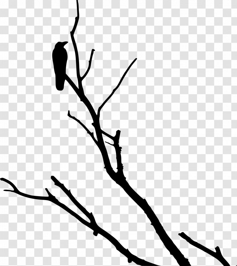 American Crow Rook Bird Tree Transparent PNG