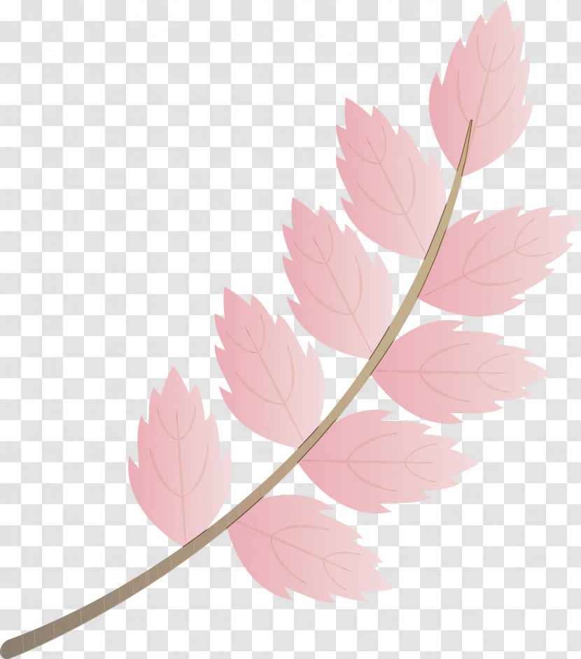 Leaf Plant Stem Petal Twig Branch Transparent PNG
