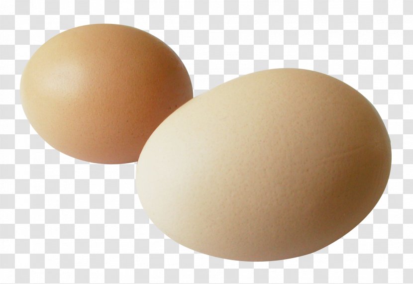 Egg Brown - Designer Transparent PNG