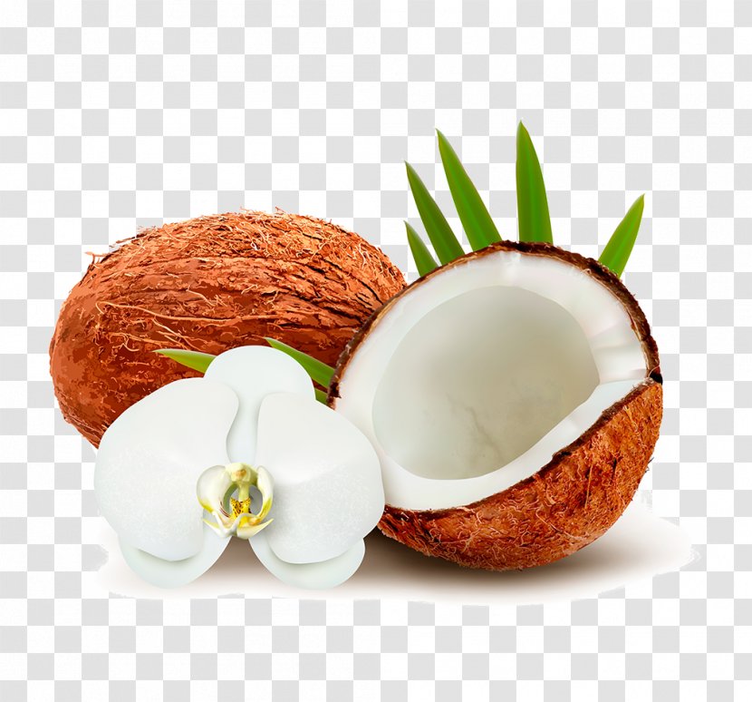 Coconut Water Milk Clip Art - Food Transparent PNG