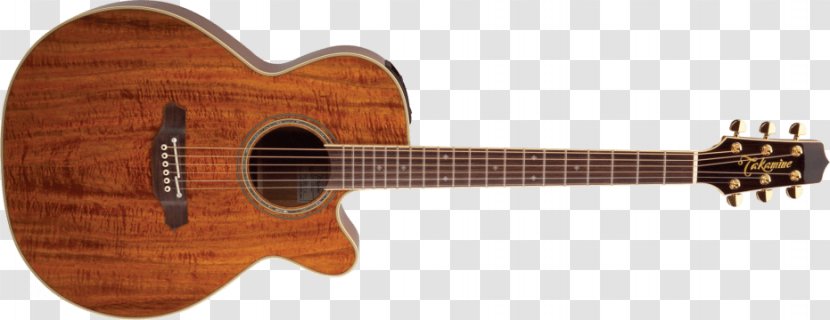 Cort Guitars Acoustic Guitar Acoustic-electric - Bass - Takamine Transparent PNG