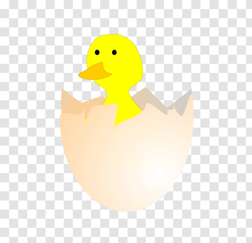 Chicken Duck Kifaranga Clip Art - Yellow - Hatching Transparent PNG