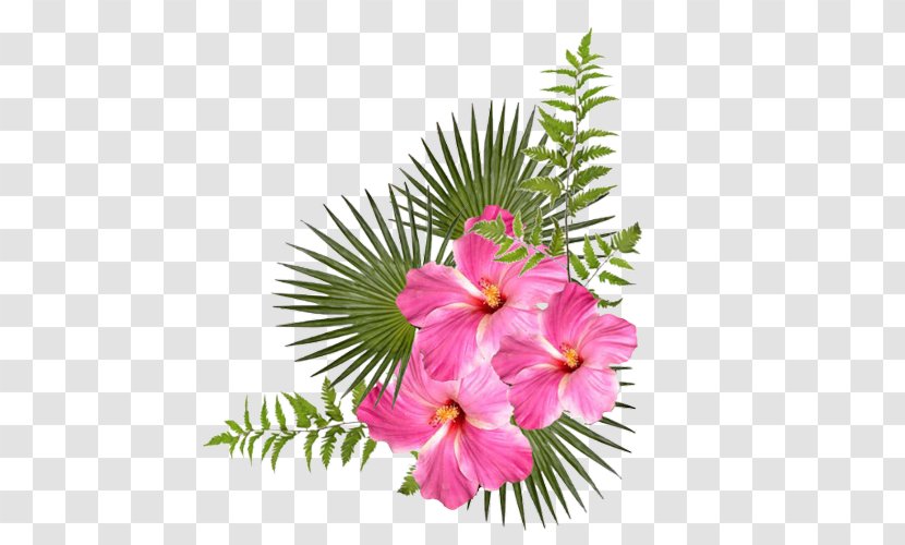 Internet .net .com - Flower Arranging - Pink Transparent PNG