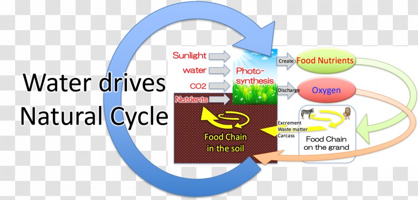 Organization Natural Environment Logo Product Ecosystem - Food - Shredding Atmosphere Transparent PNG