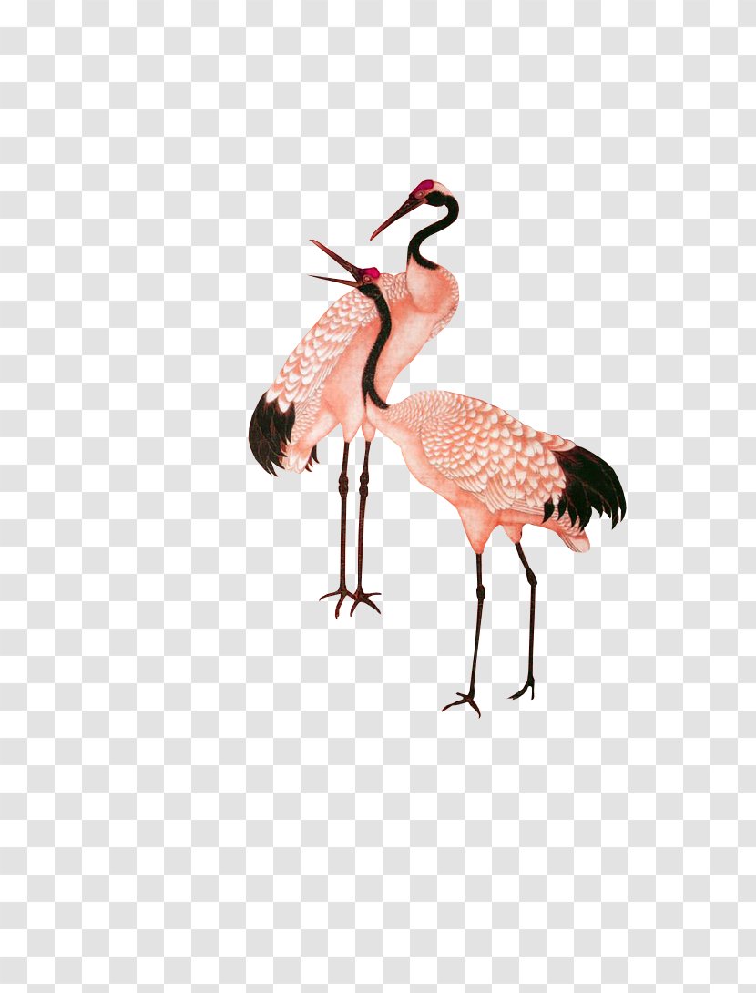 Red-crowned Crane Google Images Clip Art - Animal - Red Chinese Wind Decorative Patterns Transparent PNG